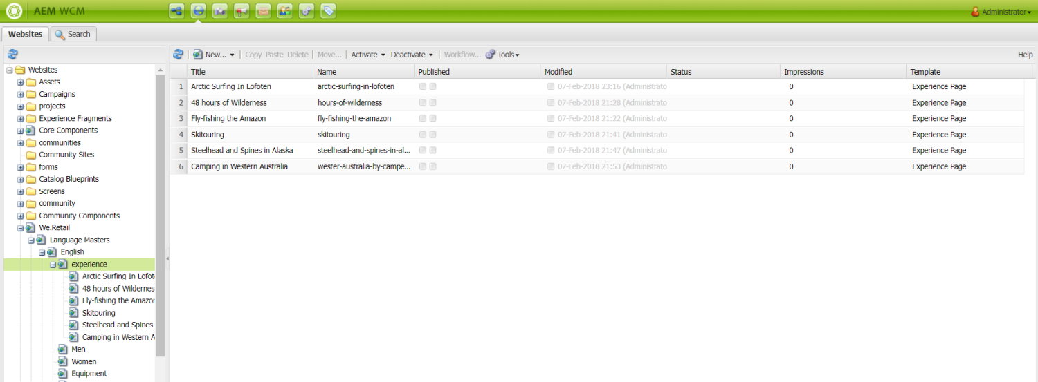 AEM Jar file and licence for AEM Development Authoring and Publisher